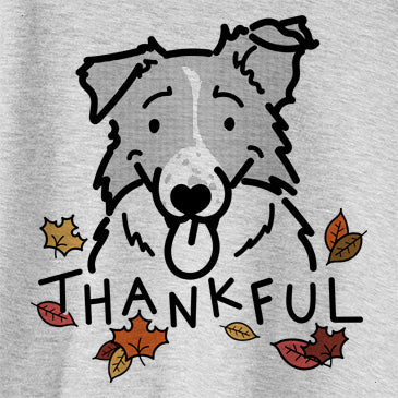 Thankful Jam the Border Collie