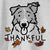 Thankful Jam the Border Collie