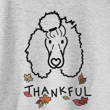 Thankful Jemma the Standard Poodle