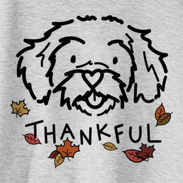 Thankful Jo Jo the Peekapoo