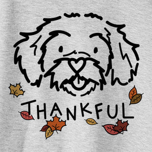 Thankful Jo Jo the Peekapoo