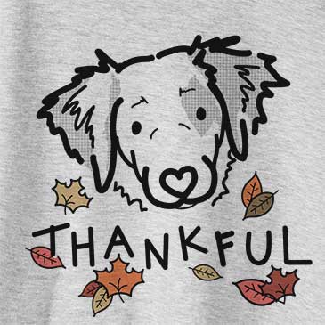 Thankful Kiva the Brittany Spaniel