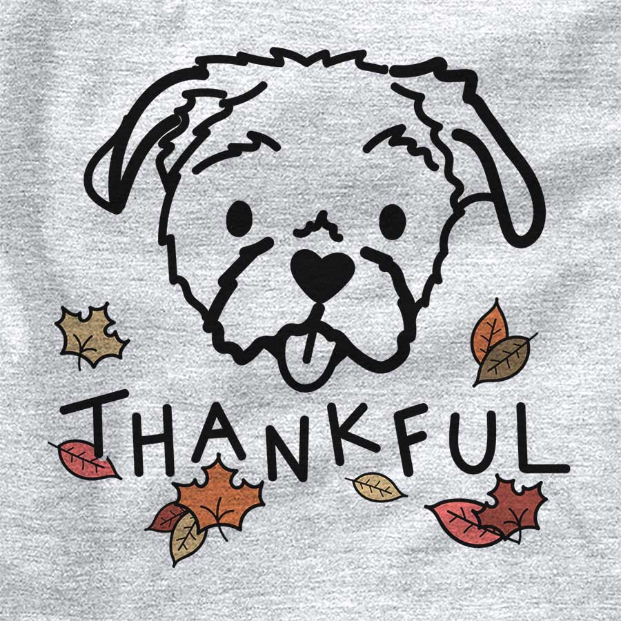 Thankful Koko the Shih Tzu