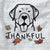 Thankful Labrador Retriever