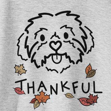 Thankful Leo the Shih Tzu