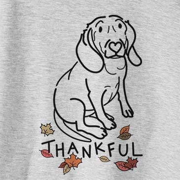 Thankful Lilly the Beagle