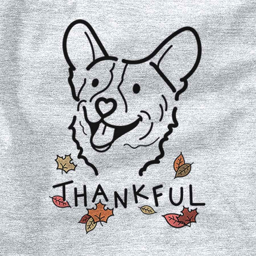 Thankful Lily the Corgi