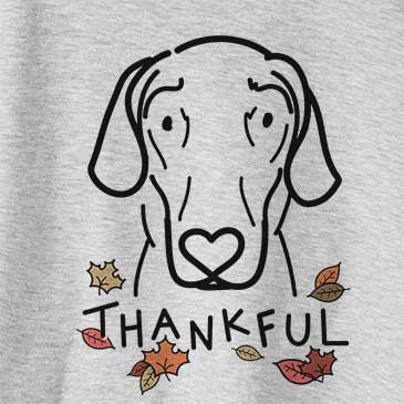 Thankful Lucy the Great Dane
