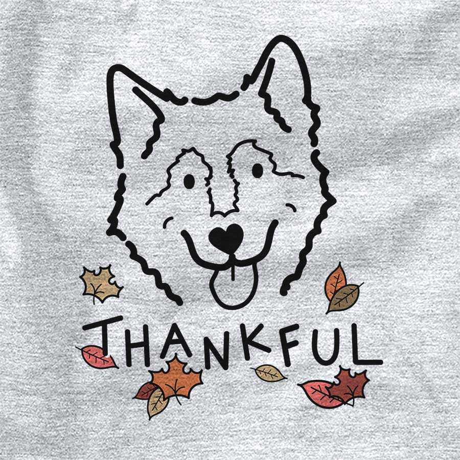 Thankful Max the Alaskan Malamute