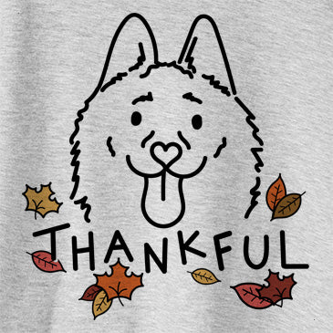 Thankful Meeko the Schipperke