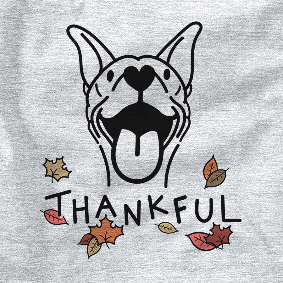 Thankful Merlin the Basenji