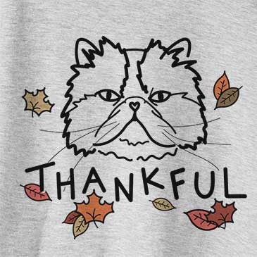 Thankful Mila the Persian Cat