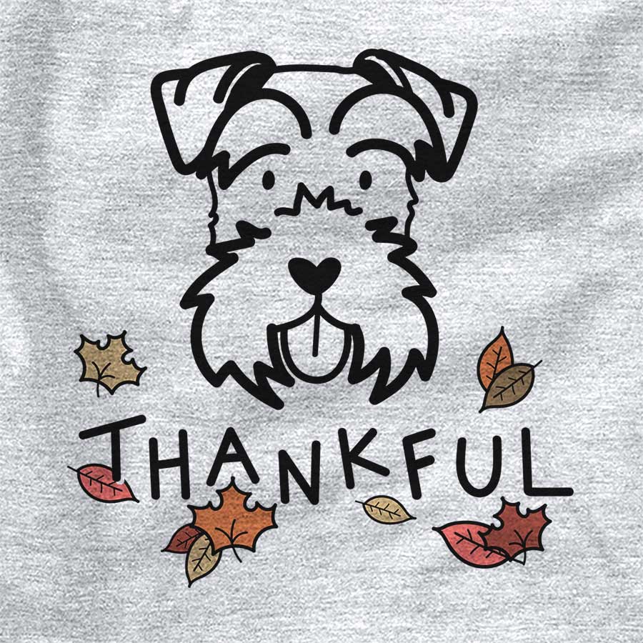 Thankful Miniature Schnauzer