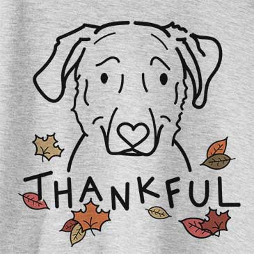 Thankful Mitzi the Golden Retriever Mix