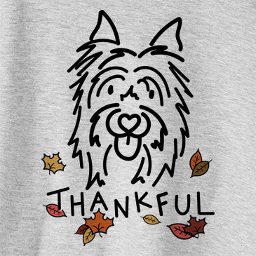 Thankful Monty the Silky Terrier