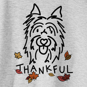 Thankful Monty the Silky Terrier