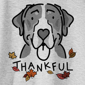 Thankful Moose the Greater Swiss Mountain Dog