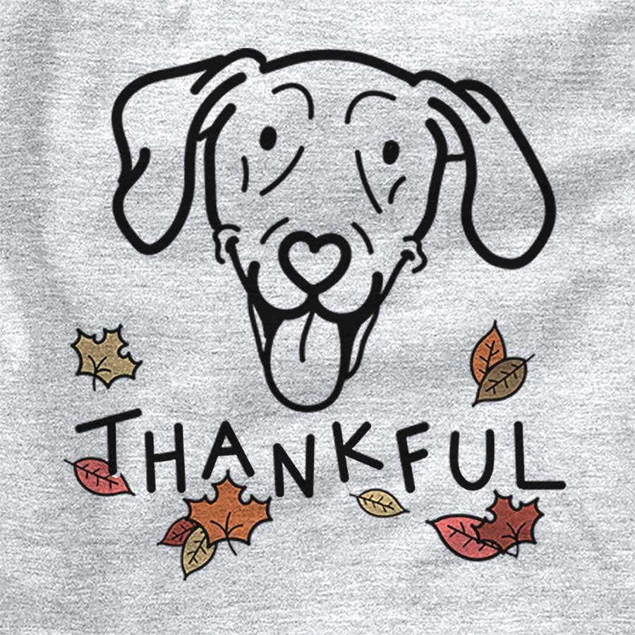 Thankful Paco Lobo the Weimaraner