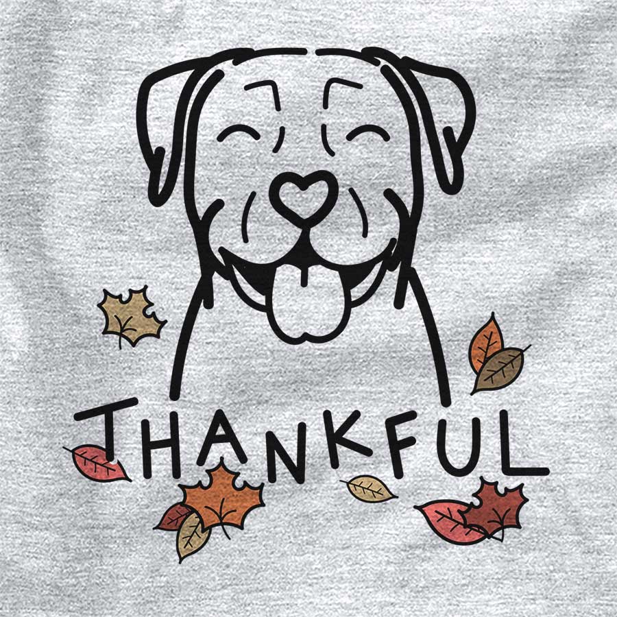 Thankful Pitbull