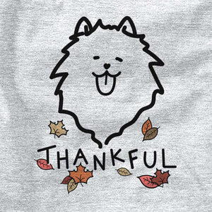 Thankful Pomeranian