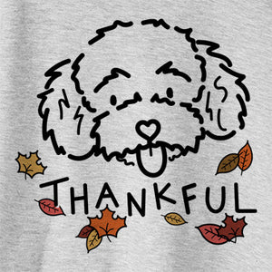 Thankful Ricci the Toy Poodle