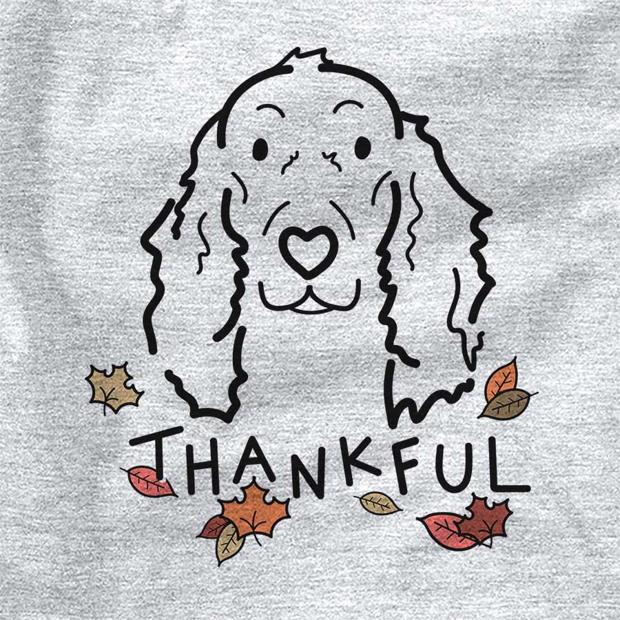 Thankful Seven the Irish Setter