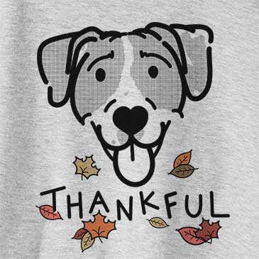 Thankful Shiva the Bluetick Coonhound