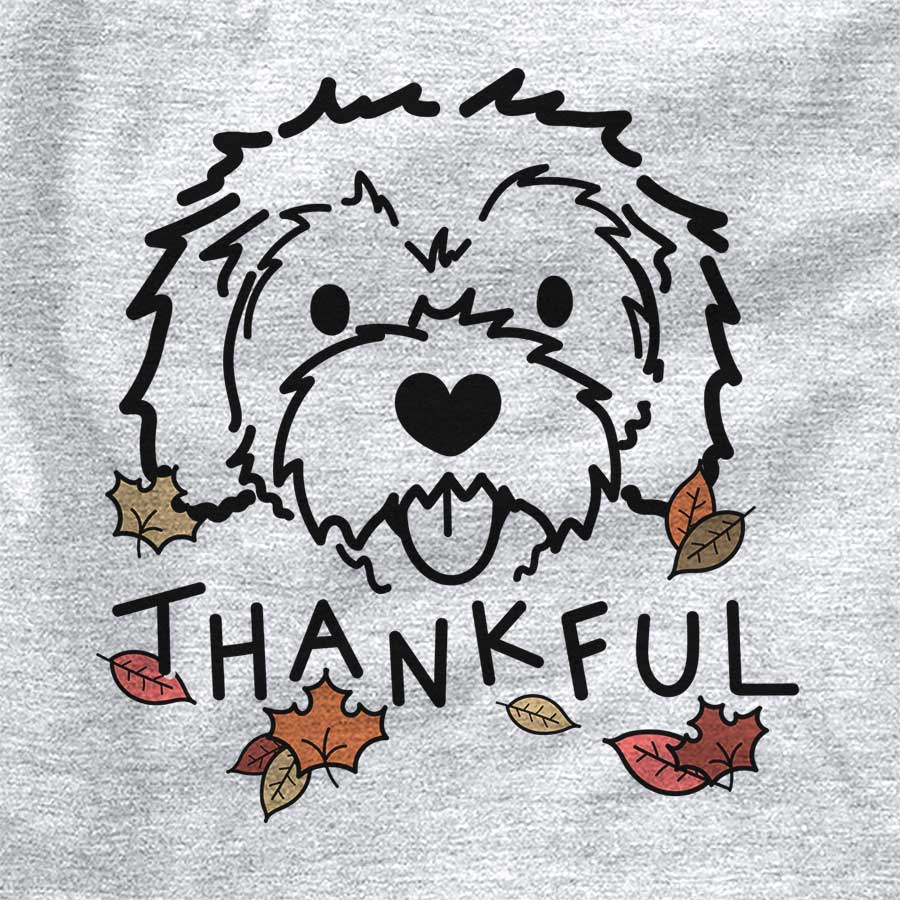 Thankful Sprinkles the Cockapoo
