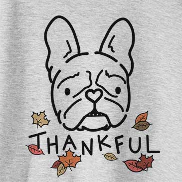 Thankful Squishy the French Bulldog