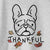 Thankful Squishy the French Bulldog