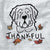 Thankful Saint Bernard