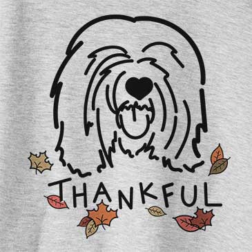Thankful Stan the Tibetan Mastiff