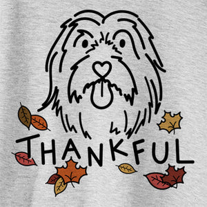 Thankful Tucker the Bearded Collie