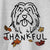 Thankful Tucker the Bearded Collie