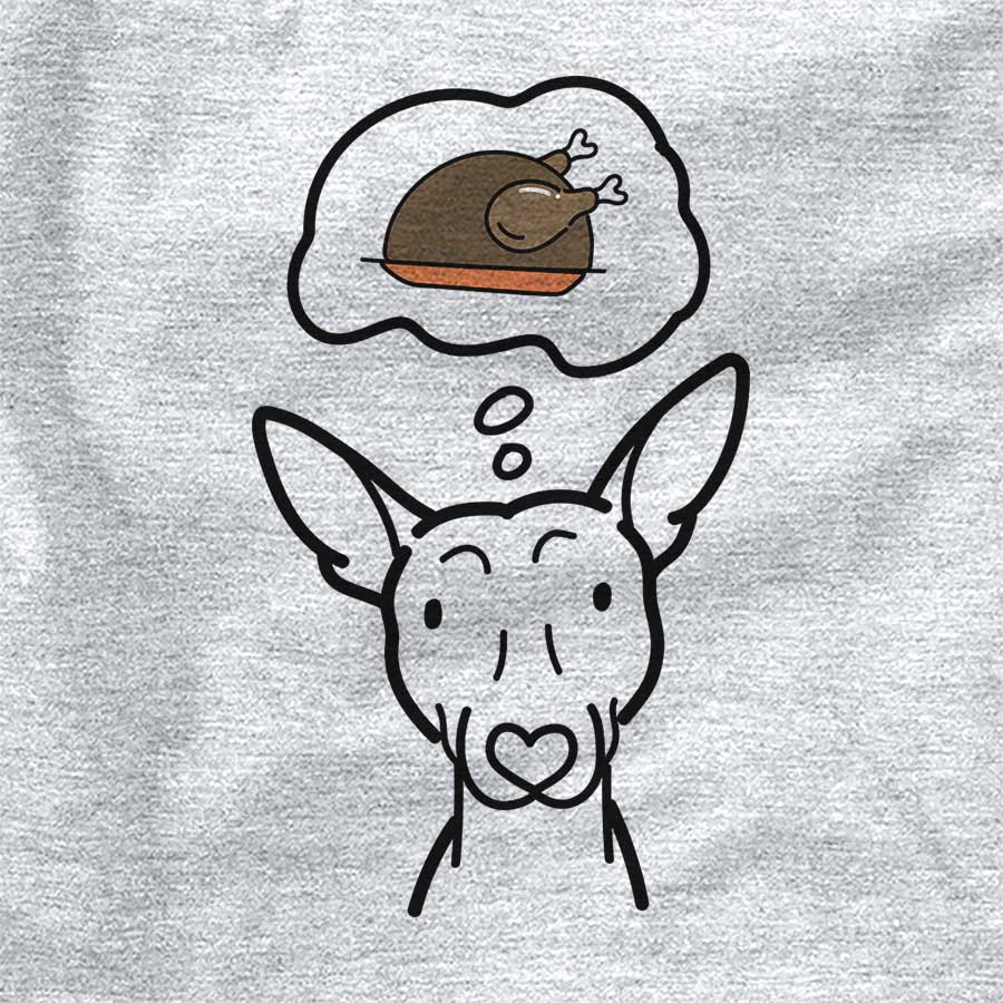 Turkey Thoughts American Hairless Terrier