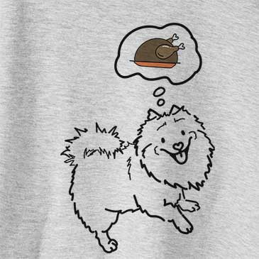 Turkey Thoughts Goldie the Pomeranian Mix