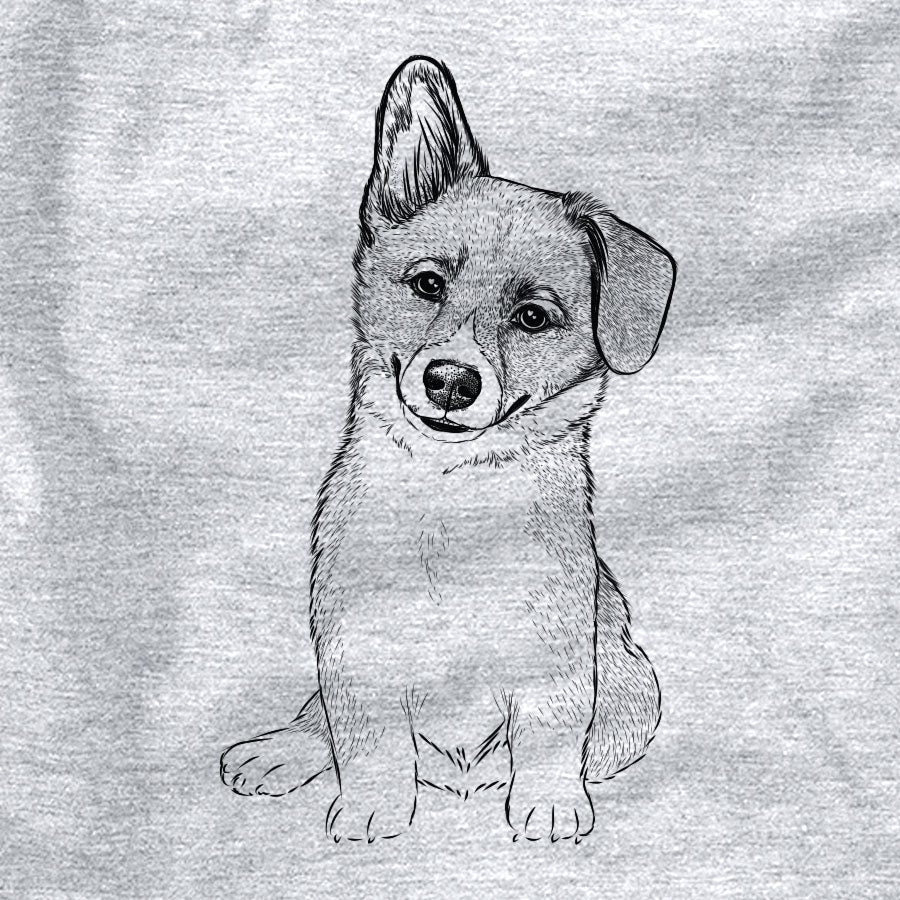 Toby the Corgi Puppy