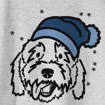 Frosty Barry the Goldendoodle