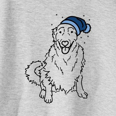 Frosty Daisy the Golden Retriever