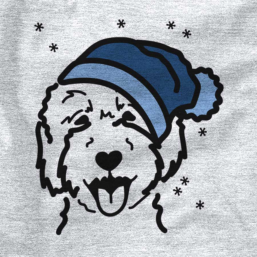 Frosty Goldendoodle 2