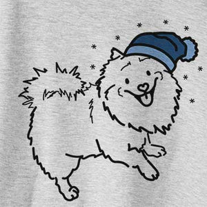 Frosty Goldie the Pomeranian Mix