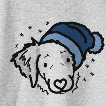 Frosty Kiva the Brittany Spaniel