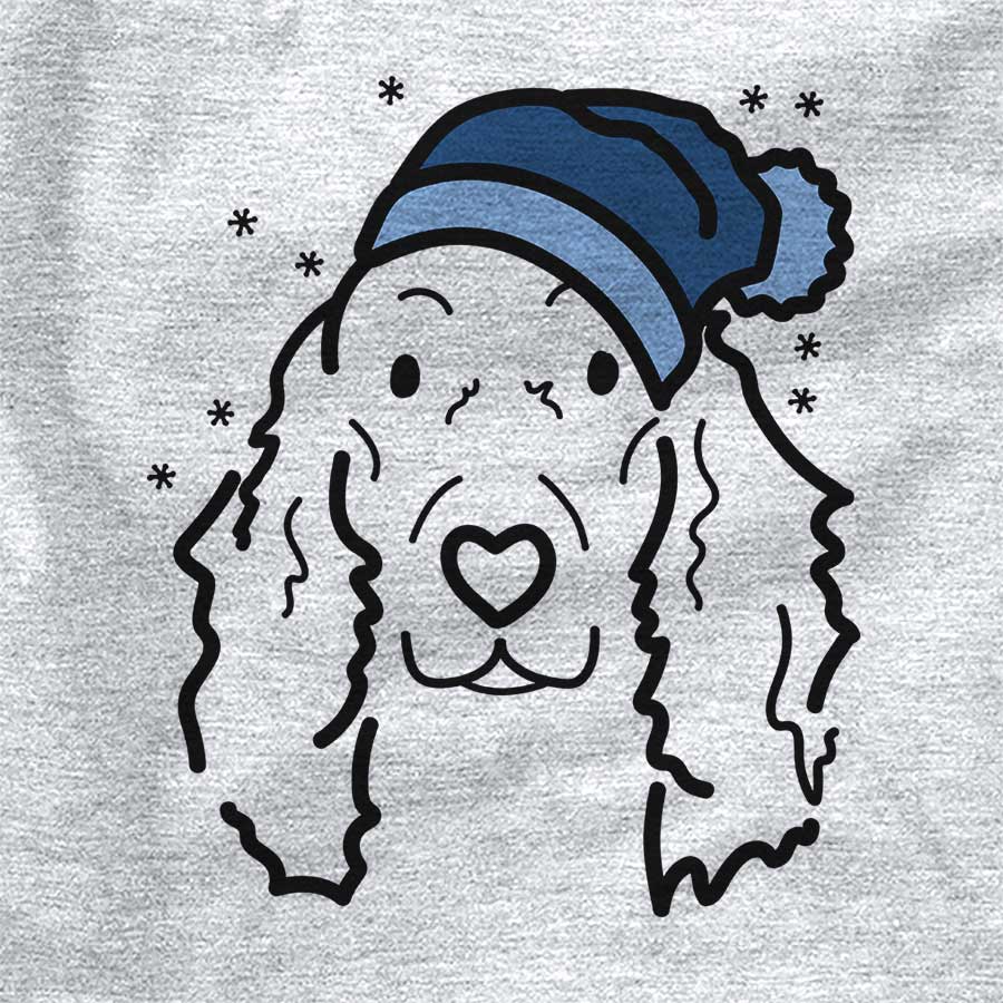 Frosty Seven the Irish Setter