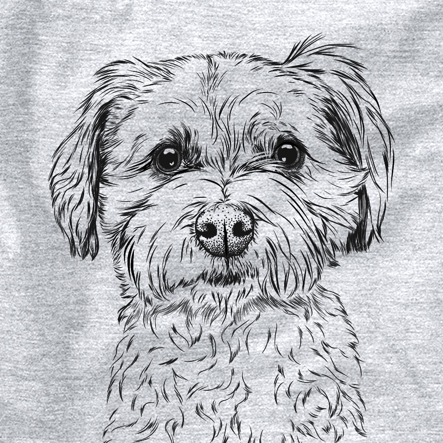 Wyatt the Coton de Tulear