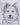 Chia the Samoyed/Husky Mix