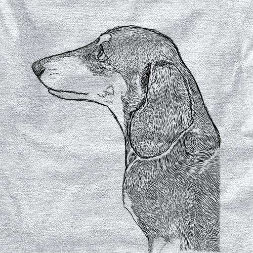 Profile Dachshund