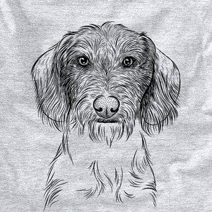 Almond the Wirehaired Dachshund