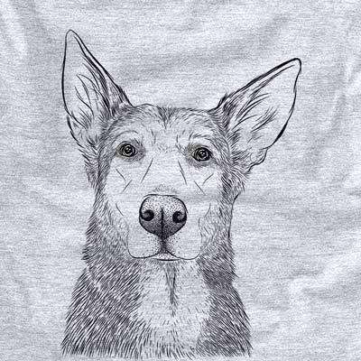 Misty the German Shepherd Mix