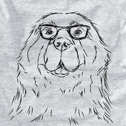 Boomer the Newfoundland