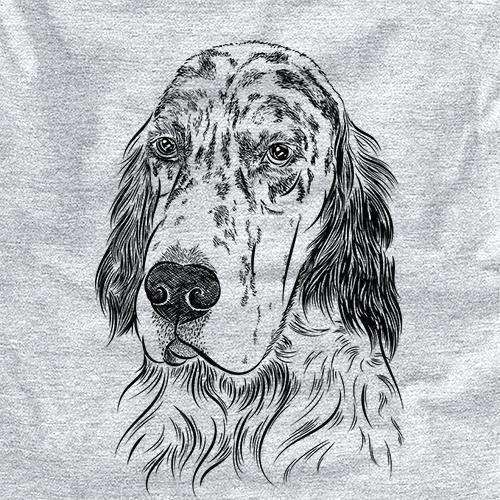Hutch the English Setter